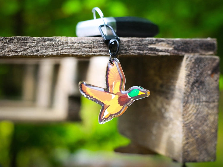 Mallard Duck KeyChain